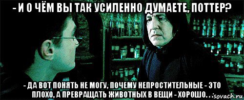 - и о чём вы так усиленно думаете, поттер? - да вот понять не могу, почему непростительные - это плохо, а превращать животных в вещи - хорошо. . ., Мем Снейп