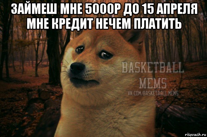 займеш мне 5000р до 15 апреля мне кредит нечем платить 