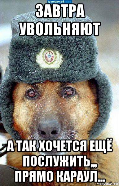завтра увольняют а так хочется ещё послужить,,, прямо караул...