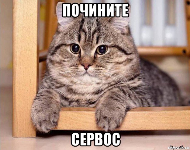 почините сервос