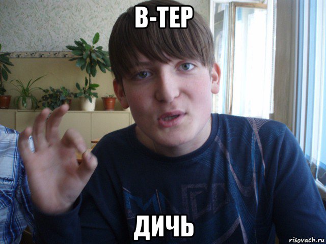 в-тер дичь, Мем stevaner