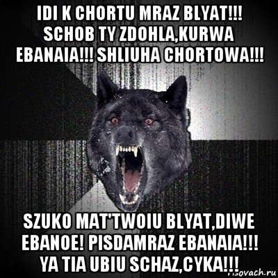 idi k chortu mraz blyat!!! schob ty zdohla,kurwa ebanaia!!! shliuha chortowa!!! szuko mat'twoiu blyat,diwe ebanoe! pisdamraz ebanaia!!! ya tia ubiu schaz,cyka!!!, Мем Сумасшедший волк