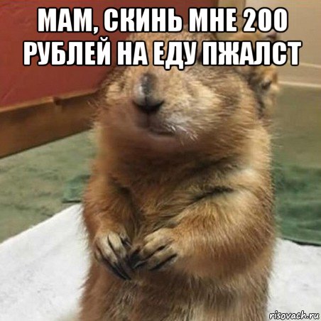мам, скинь мне 200 рублей на еду пжалст , Мем Суслик спрашивает