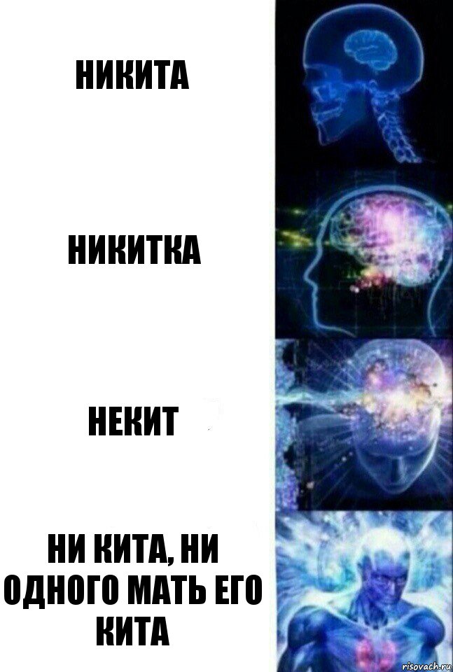 никита никитка некит ни кита, ни одного мать его кита, Комикс  Сверхразум