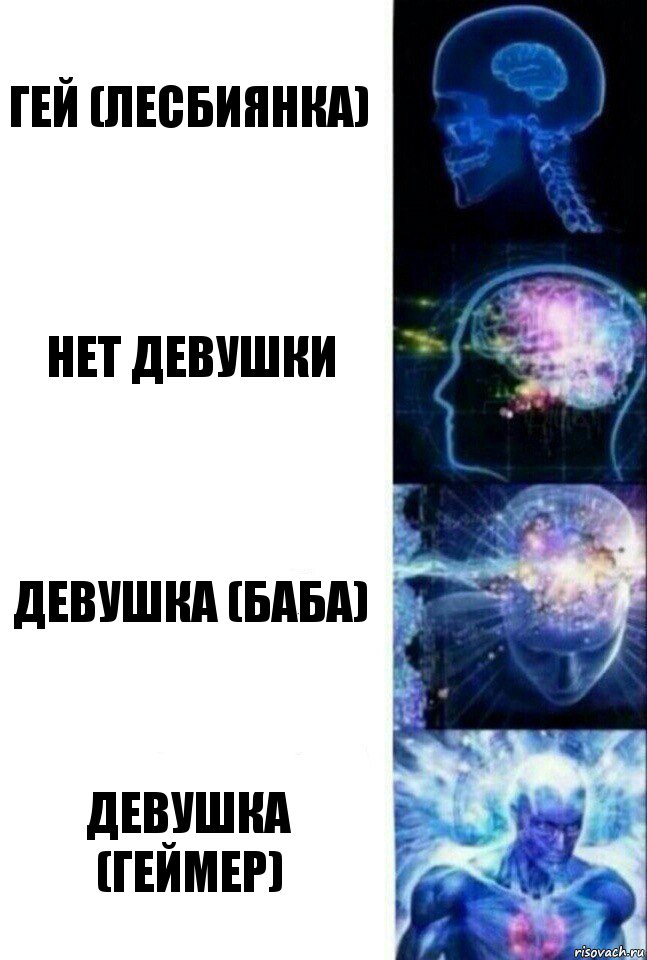 Гей (Лесбиянка) Нет девушки Девушка (баба) Девушка (Геймер), Комикс  Сверхразум