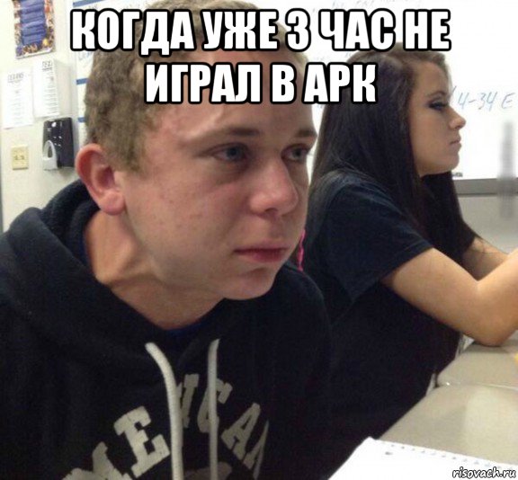 когда уже 3 час не играл в арк 