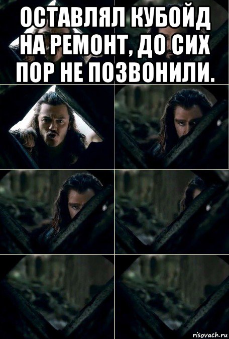 оставлял кубойд на ремонт, до сих пор не позвонили. , Мем Торин сливается