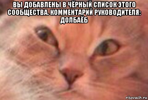 вы добавлены в чёрный список этого сообщества. комментарий руководителя: долбаёб , Мем TRIGGERED