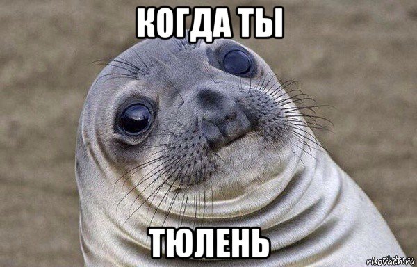 когда ты тюлень