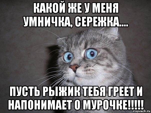 какой же у меня умничка, сережка.... пусть рыжик тебя греет и напонимает о мурочке!!!!!, Мем  удивлённый кот