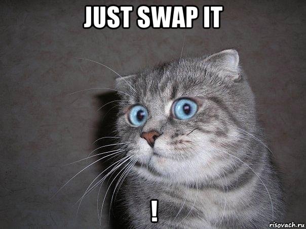 just swap it !, Мем  удивлённый кот