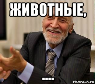животные, ....