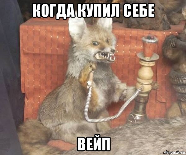 когда купил себе вейп