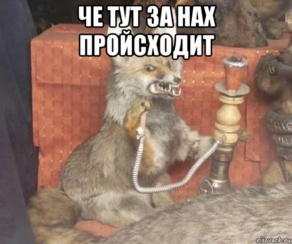 че тут за нах пройсходит 