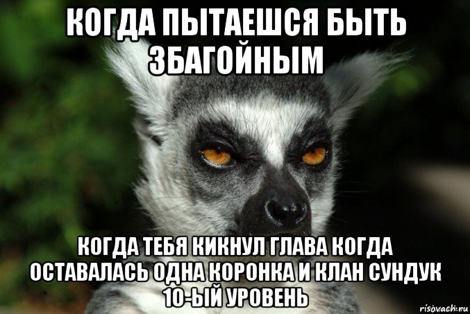 когда пытаешся быть збагойным когда тебя кикнул глава когда оставалась одна коронка и клан сундук 10-ый уровень, Мем   Я збагоен