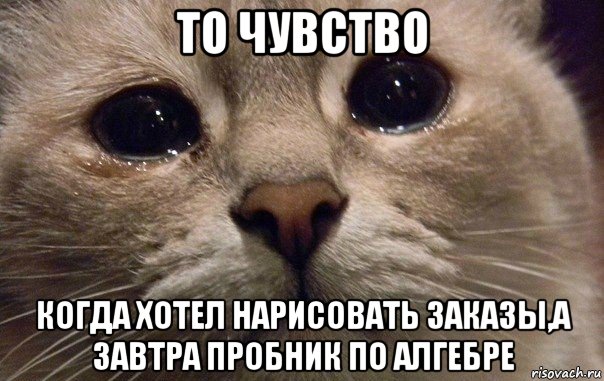 то чувство когда хотел нарисовать заказы,а завтра пробник по алгебре, Мем   В мире грустит один котик