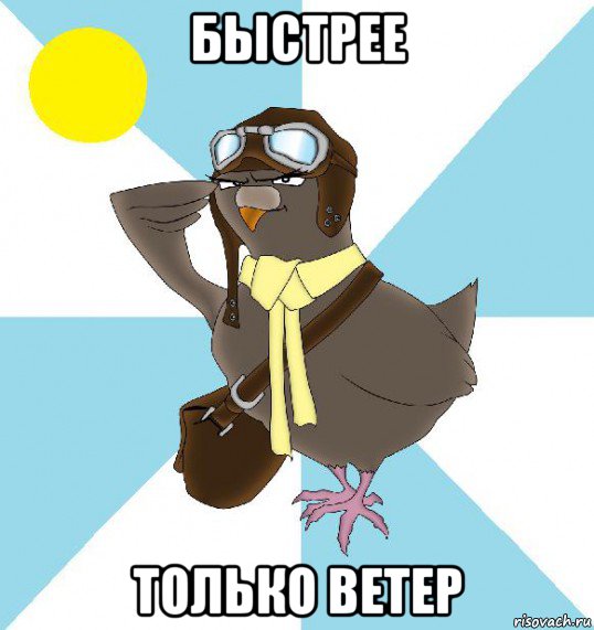 быстрее только ветер