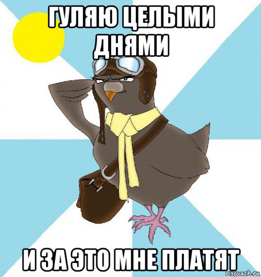 гуляю целыми днями и за это мне платят