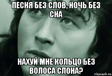 песня без слов, ночь без сна нахуй мне кольцо без волоса слона?