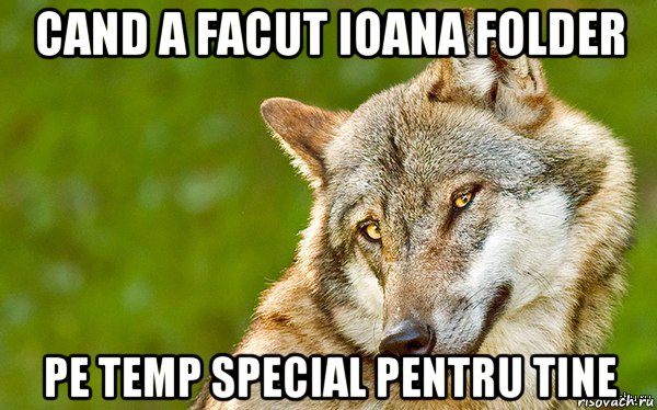 cand a facut ioana folder pe temp special pentru tine, Мем   Volf