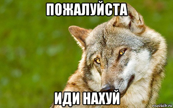 пожалуйста иди нахуй, Мем   Volf