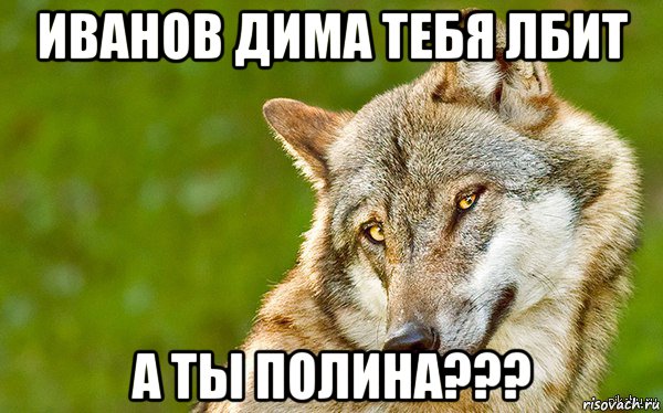 иванов дима тебя лбит а ты полина???