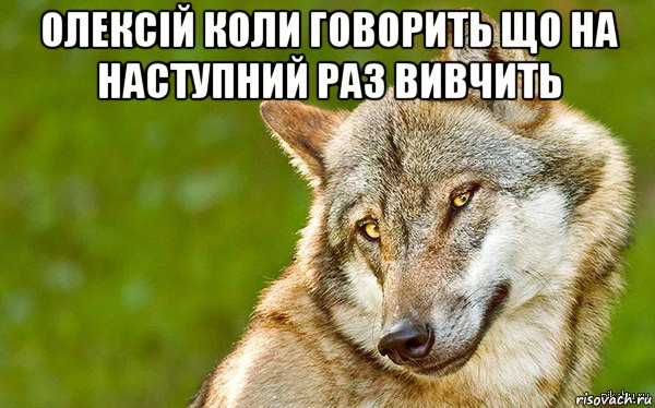 олексій коли говорить що на наступний раз вивчить , Мем   Volf