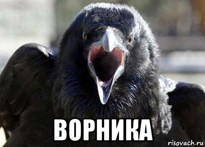  ворника, Мем ворона