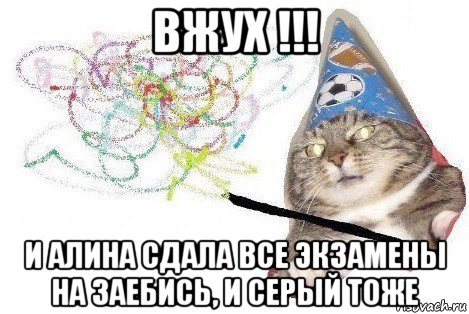 вжух !!! и алина сдала все экзамены на заебись, и серый тоже, Мем Вжух мем