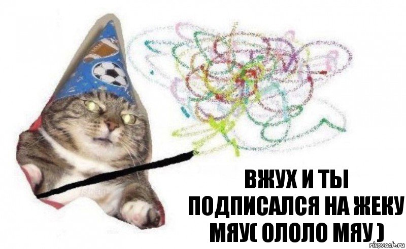 Вжух и ты подписался на жеку мяу( ололо мяу ), Комикс    Вжух