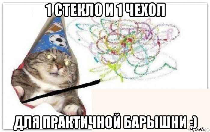 1 стекло и 1 чехол для практичной барышни ;)