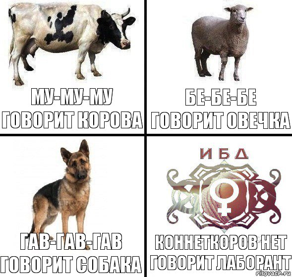 му-му-му говорит корова коннеткоров нет говорит лаборант гав-гав-гав говорит собака бе-бе-бе говорит овечка, Комикс ыфвф