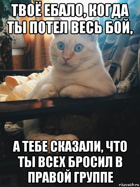 твоё ебало, когда ты потел весь бой, а тебе сказали, что ты всех бросил в правой группе