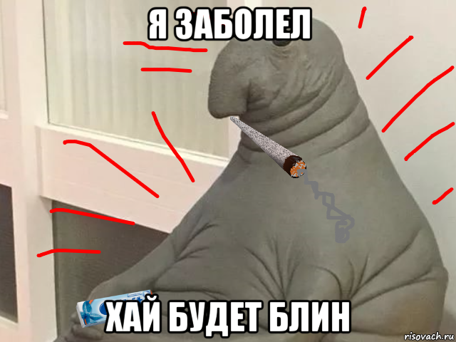 я заболел хай будет блин
