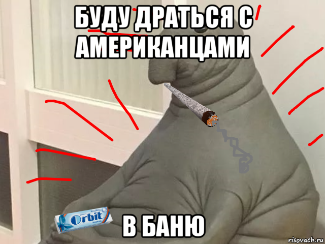 буду драться с американцами в баню