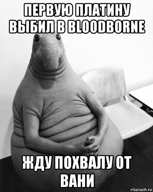 первую платину выбил в bloodborne жду похвалу от вани, Мем  Ждун