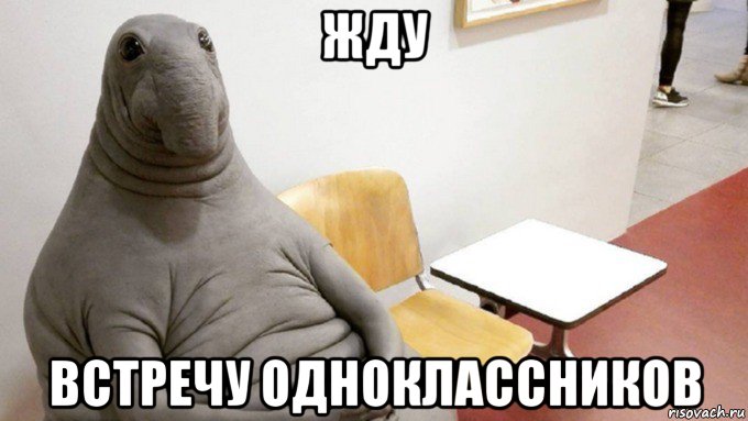 жду встречу одноклассников