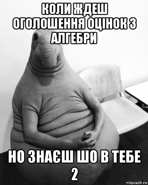 коли ждеш оголошення оцінок з алгебри но знаєш шо в тебе 2, Мем  Ждун