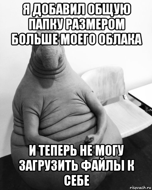 я добавил общую папку размером больше моего облака и теперь не могу загрузить файлы к себе, Мем  Ждун