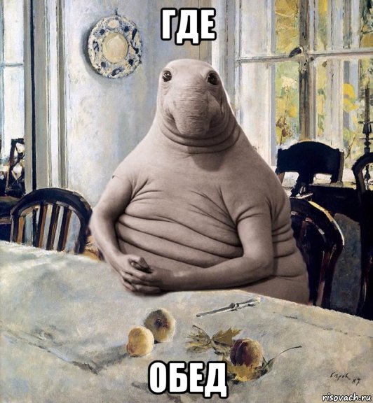 где обед