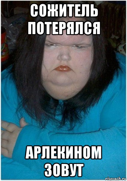 сожитель потерялся арлекином зовут