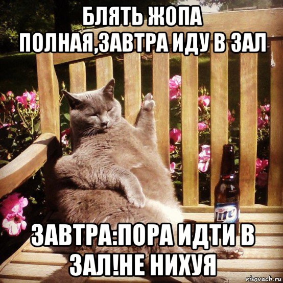 блять жопа полная,завтра иду в зал завтра:пора идти в зал!не нихуя