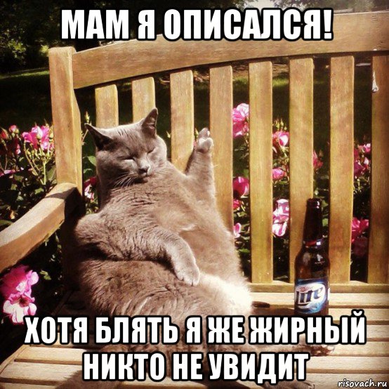 мам я описался! хотя блять я же жирный никто не увидит, Мем Жирный кот