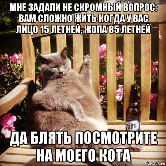 мне задали не скромный вопрос: вам сложно жить когда у вас лицо 15 летней, жопа 85 летней да блять посмотрите на моего кота