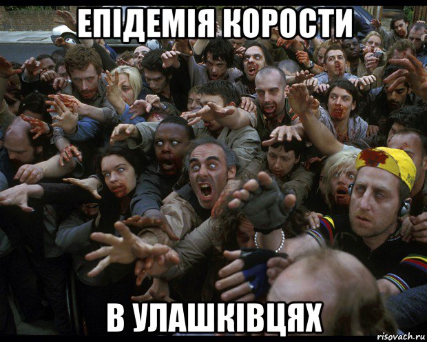 епідемія корости в улашківцях
