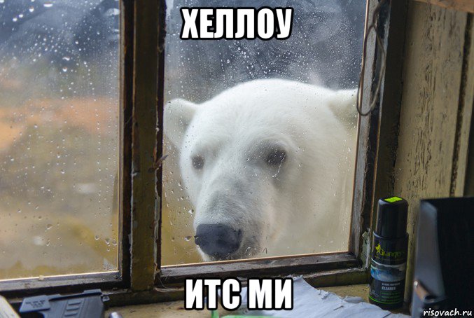 хеллоу итс ми, Мем 111
