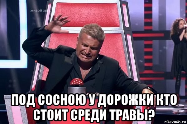  под сосною у дорожки кто стоит среди травы?