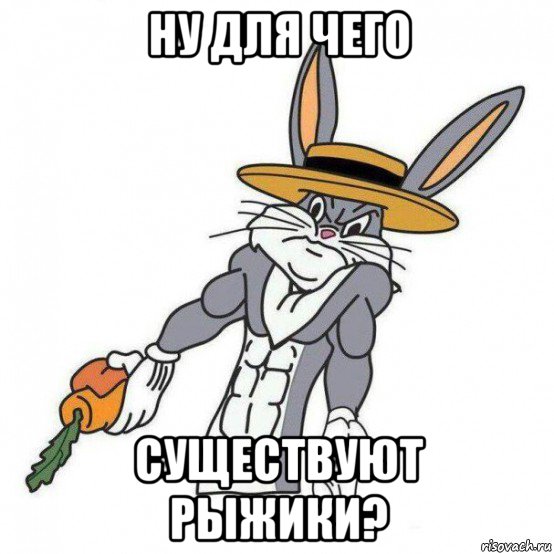 ну для чего существуют рыжики?