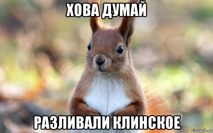 хова думай разливали клинское