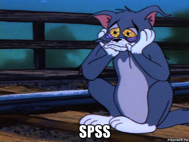  spss, Мем безысходность